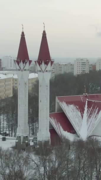 Уфа Россия Января 2019 Тюльпан Блум Мечеть Город Зимой Россия — стоковое видео