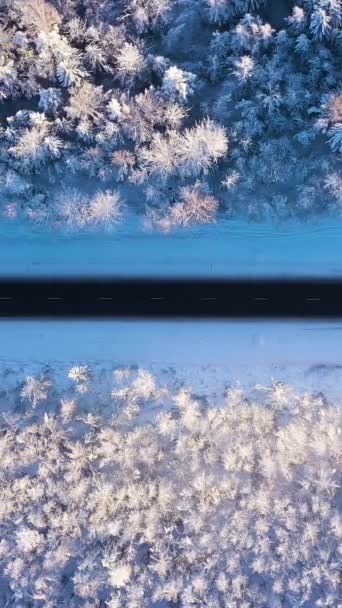 White Car Por Straight Road Invierno Bosque Congelado Vista Aérea — Vídeos de Stock