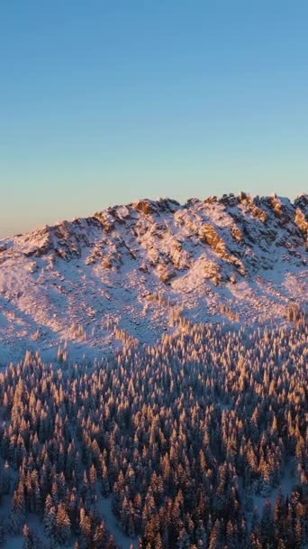 冬日落山的奥克林奇山岭和针叶林 空中景观 俄罗斯南乌拉尔的Taganay国家公园 飞行员向前飞 垂直录像 — 图库视频影像