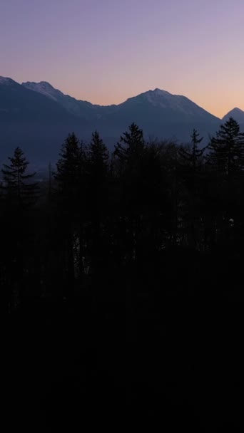 晨光中的Bled Lake和Marijinega Vnebovzetja教堂 蓝色一小时 山与森林 朱利安 阿尔卑斯山 斯洛文尼亚 空中景观 真枪实弹垂直录像 — 图库视频影像