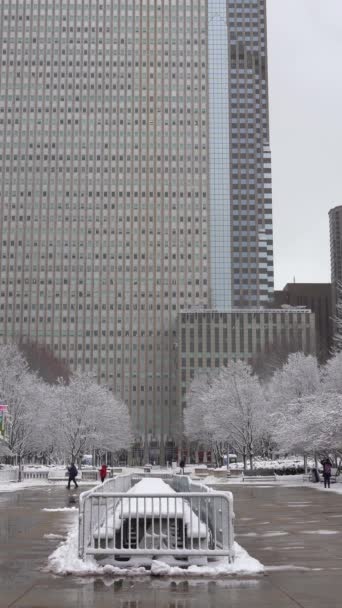 米国チカゴ January 2021 ミレニアムパーク コロナウイルスパンデミックの間 曇った冬の日にマスクと超高層ビルを着用している人々 バーティカルビデオ — ストック動画