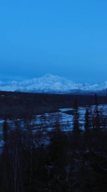Ağaçlar, Chulitna Nehri ve Denali Dağı açık kış sabahında. Alaska manzarası, ABD. Hava görüntüsü. Drone ağaçların üzerinden uçuyor. Dikey Video