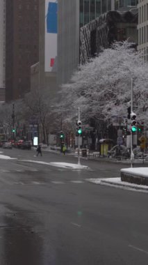 Chicago, ABD - 25 Ocak 2021: Bulutlu Kış Günü 'nde Chicago Muhteşem Mil' de Araba Trafiği