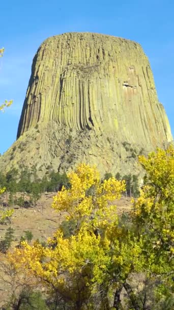 Devils Tower Butte Falling Yellow Leaves Autumn Wyoming Usa Vertical — Stock Video