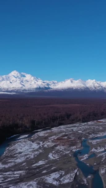 チェンナ川 ルース氷河 冬の晴れた日にデナリ山 アメリカ アラスカの風景 アリアルビュー ドローン フライズが後ろに バーティカルビデオ — ストック動画