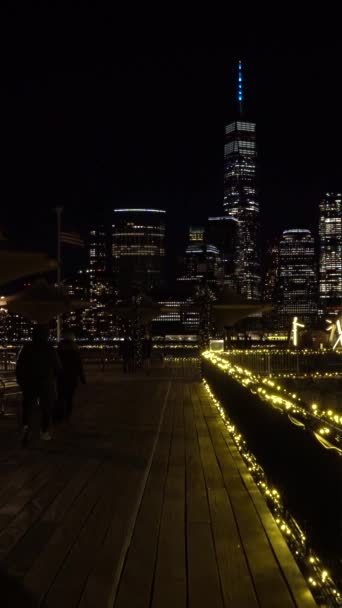 ニューヨークシティ アメリカ January 2021 冬の夜にジャージーシティのジョン オーエン グランディ公園からライトアップされたローワーマンハッタンビュー クリスマス ハドソン川 犬が通り過ぎていく — ストック動画