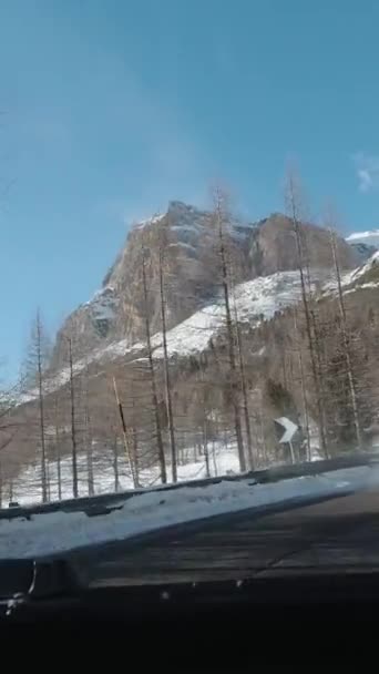 在意大利的白云石开车在阳光明媚的冬日 森林和山脉 垂直录像 — 图库视频影像