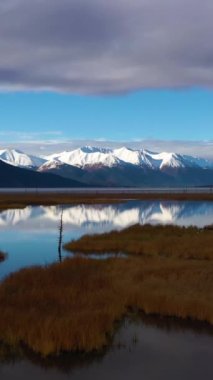 Sonbahar güneşli gününde Arnback Arm and Snow-Capped Dağları. Göldeki sazlıklar ve yansımalar. Alaska, ABD. Hava görüntüsü. İnsansız hava aracı alçaktan uçuyor. Geniş açı. Dikey Video