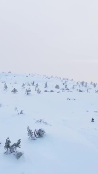 Volosyanaya Hill Día Invierno Vista Aérea Región Murmansk Rusia Drone — Vídeo de stock
