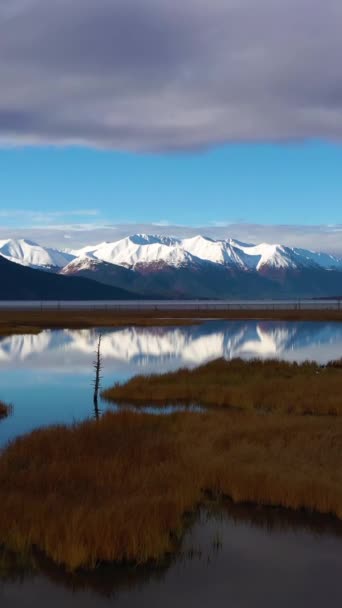 Turnagain Arm Snow Capped Mountains Autumn Sunny Day Reeds Reflections — Stock Video