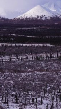 Güneşli kış gününde ağaçlar ve karla kaplı dağlar. Alaska manzarası, ABD. Hava görüntüsü. Drone İleri Uçuyor, Eğil. Şutu göster. Dikey Video