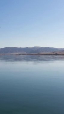 Güneşli günde Ili Nehri ve Kazak Steppe. Hava görüntüsü. İnsansız hava aracı alçaktan uçuyor. Dikey Video