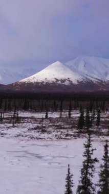 Güneşli kış gününde ağaçlar ve karla kaplı dağlar. Mavi Gökyüzü. Alaska 'nın görkemli manzarası, ABD. Hava görüntüsü. İHA, Kozalaklı Ağaçlar 'ın üzerinden alçaktan uçuyor. Dikey Video
