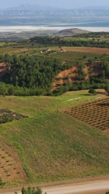 Olgunlaşmamış lavanta tarlası, orman ve dağlar. Hava görüntüsü. Isparta Bölgesi, Türkiye. Drone İleri Uçuyor, Eğil. Şutu göster. Dikey Video