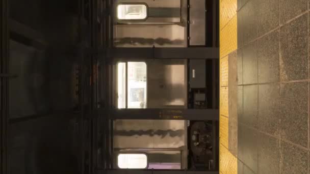 New York City Usa January 2021 Trains Street Subway Station — Stock Video