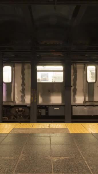 New York City Usa Gennaio 2021 Treni Sulla Street Metro — Video Stock