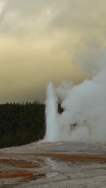 Old Faithful Geyser Eruption Yellowstone National Park Wyoming Estados Unidos — Vídeo de stock