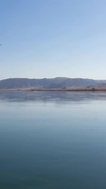 Ili River Kazakh Steppe Sunny Day Vista Aérea Drone Voa — Vídeo de Stock