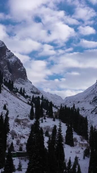 Sněžné Hory Tuyuksu Slunečný Den Severní Tian Shan Kazachstán Letecký — Stock video