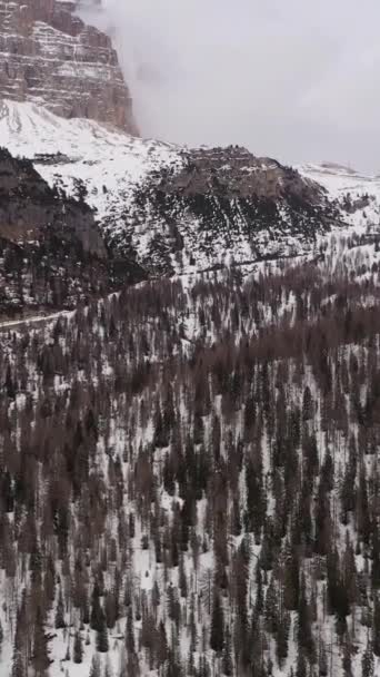 关于拉瓦雷多的信 多云的冬日和森林里的三峰 空中景观 意大利南蒂罗尔的性感白云石 飞行员向前飞 倾斜向上 真枪实弹从南方看 垂直录像 — 图库视频影像