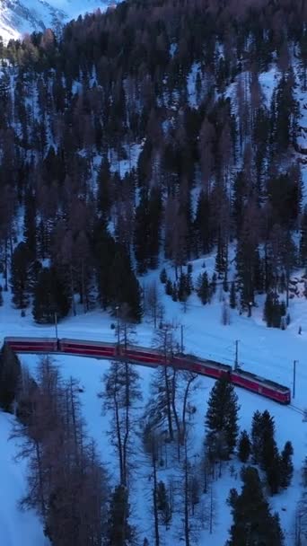 Vlak Švýcarsku Slunečného Zimního Dne Bernina Railway Švýcarské Alpy Letecký — Stock video
