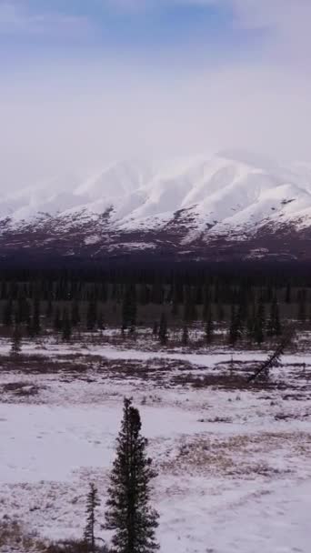在阳光明媚的冬日 树木和被白雪覆盖的山脉 美国阿拉斯加的风景 空中景观 无人机在低空的树梢上缓慢地飞过 垂直录像 — 图库视频影像