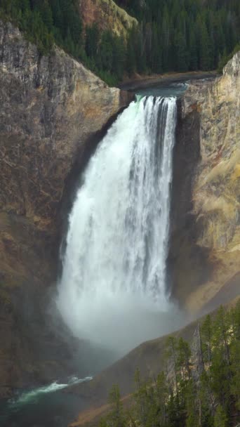 Lower Yellowstone Falls Grand Canyon Van Yellowstone Bewolkte Herfstdag Het — Stockvideo