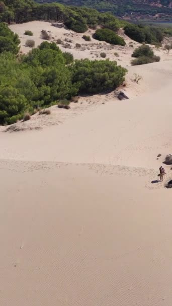 Patara Sand Dunes Sunny Day Вид Воздуха Индейка Орбите Вертикальное — стоковое видео
