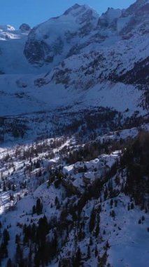 Güneşli kış gününde İsviçre 'de Piz Bernina. İsviçre Alpleri. Hava görüntüsü. Drone İleri Uçuyor, Eğil. Şutu göster. Dikey Video