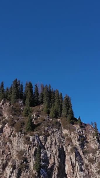 サニーデーの山々 北ティアン シャン カザフスタン アリアルビュー ドローンが軌道を回っている バーティカルビデオ — ストック動画