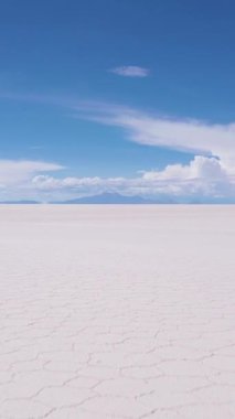 Güneşli bir günde Uyuni Tuz Düzlükleri 'ne bakan kendine güvenen gezgin. Hava görüntüsü. Altiplano, Bolivya. Kurak Mevsim. Tuz çatlakları ve oluşumları. Solo Seyahat Kavramı. Dikey Video