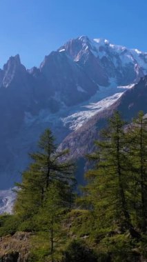 Mont Blanc Dağı ve Ağaçlar. İtalyan Alpleri, İtalya. Hava görüntüsü. İnsansız hava aracı vadiyi açığa çıkaran ağaçların üzerinden ileri uçuyor. Dikey Video