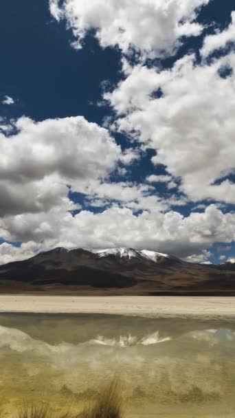 Laguna Verde Flamencos Bolivia Cielo Azul Con Nubes Time Lapse — Vídeos de Stock