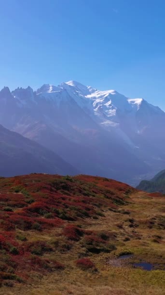 阳光明媚的秋日 身穿蓝色夹克 背着背包的远足男子站在白朗峰看风景 红刷子 法国阿尔卑斯山 空中景观 无人机在人的上空向后飞去 垂直录像 — 图库视频影像