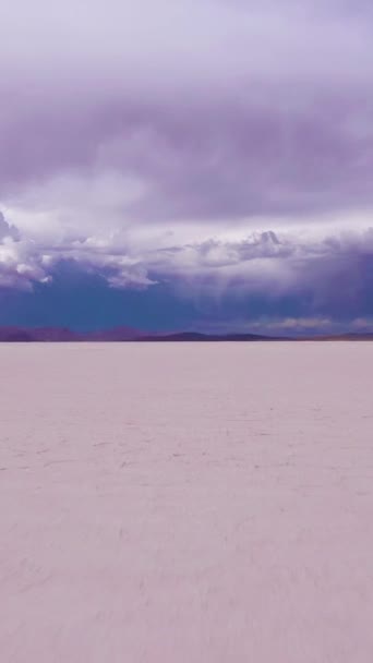 游客在阳光明媚的日子里望着Uyuni盐滩 空中景观 玻利维亚阿尔蒂普拉诺 盐的形成 开了一枪戏剧化和风暴云彩 垂直录像 — 图库视频影像