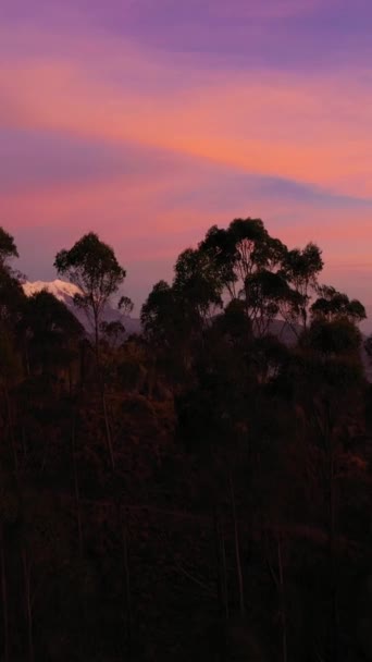 Міський Пейзаж Пас Гора Ілімані Вечірні Сутінки Вид Повітря Болівія — стокове відео