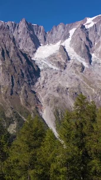 Bergen Bomen Italiaanse Alpen Italië Luchtfoto Drone Flies Forward Bomen — Stockvideo