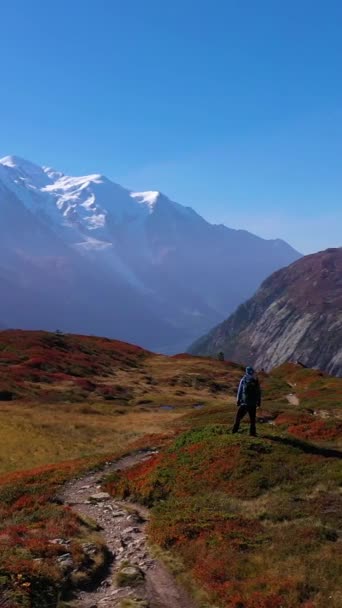 Wanderer Blauer Jacke Mit Rucksack Stehen Sonnigen Herbsttag Und Blicken — Stockvideo