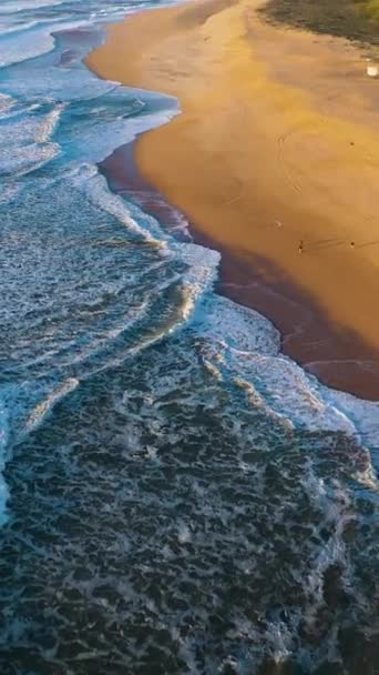 North Beach Atlantic Ocean Nazare Portugal Big Waves Aerial View — Stock Video