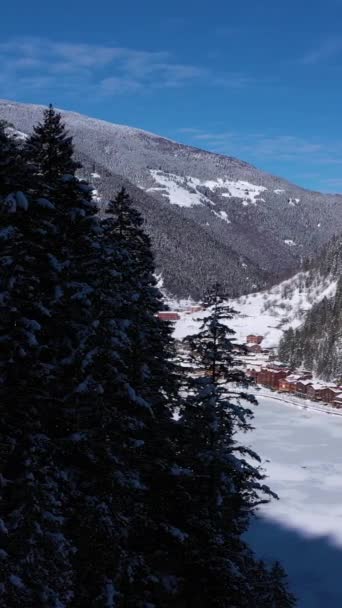 乌祖古尔湖冬季结冰 山与山与树 空中景观 土耳其特拉布宗省 博士飞的西道 垂直录像 — 图库视频影像