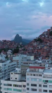 Cloudy Morning 'de Cantagalo ve Pavao-Pavaozinho Favelas. Rio de Janeiro, Brezilya. Hava görüntüsü. İnsansız hava aracı yukarı doğru uçar, aşağı eğilir. Turna Vuruşu. Dikey Video