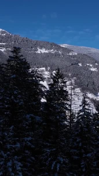 乌祖古尔湖冬季结冰 山与山与树 空中景观 土耳其特拉布宗省 无人机在树上飞驰而过 垂直录像 — 图库视频影像