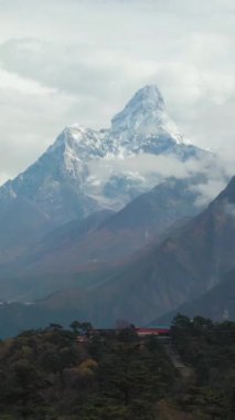 Ama Dablam Dağı ve Kozalaklı Orman. Himalaya, Nepal. Hava görüntüsü. Drone geriye doğru uçuyor. Dikey Video
