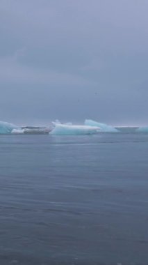 Jokulsarlon Gölü ve Denizi 'ndeki buz blokları. İzlanda. Dikey Video