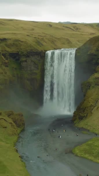 Cascada Skogafoss Paisaje Verde Día Verano Islandia Vista Aérea Drone — Vídeos de Stock