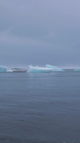 Παγόβουνα Στη Λιμνοθάλασσα Του Τζοκούλσαρλον Και Στη Θάλασσα Ισλανδία Κάθετη — Αρχείο Βίντεο