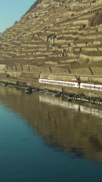 Tren Pasajeros Largo Del Lago Geneva Shore Reflexión Agua Viñedos — Vídeo de stock