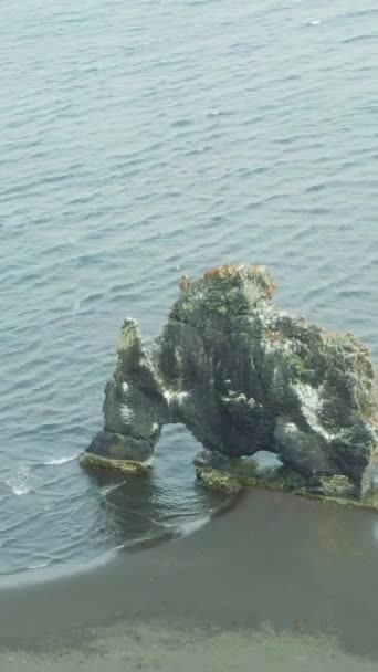 Hvitserkur Rock Letní Den Island Letecký Pohled Dron Orbitě Svislé — Stock video