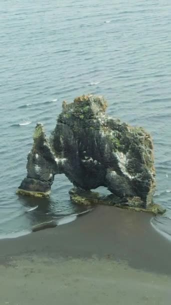 Σχηματισμός Hvitserkur Rock Την Καλοκαιρινή Μέρα Ισλανδία Αεροφωτογραφία Κηφήνας Πετάει — Αρχείο Βίντεο