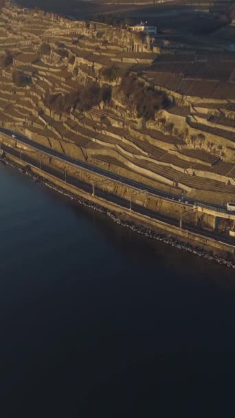 Genfi Naplementekor Autó Úton Lavaux Vaud Svájc Teraszos Szőlőültetvényei Légitekintés — Stock videók
